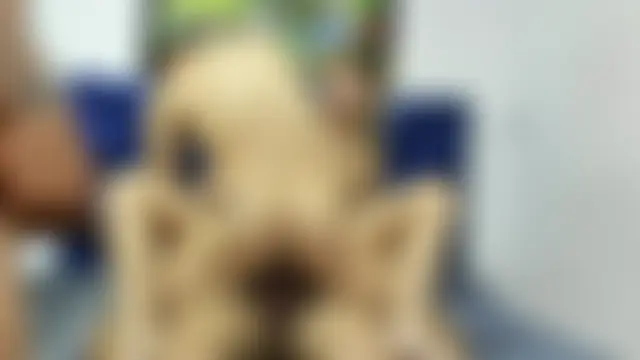 CamilaGirlAndTwoBoy Show in webcam