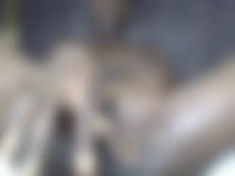 Phòng Chat Trực Tiếp cutiebreey