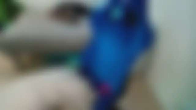 غرفة دردشة CranberryHot المباشرة