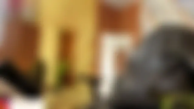 Show Webcam de EVAN_TAY