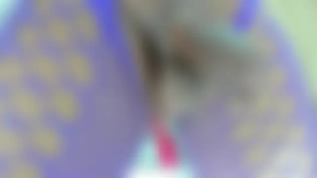 Show Webcam de Austin_Bitch