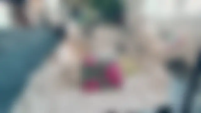 Show modela CeriseLapine na web-kameri
