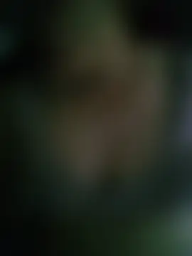 Funsexy1 Cameră chat live