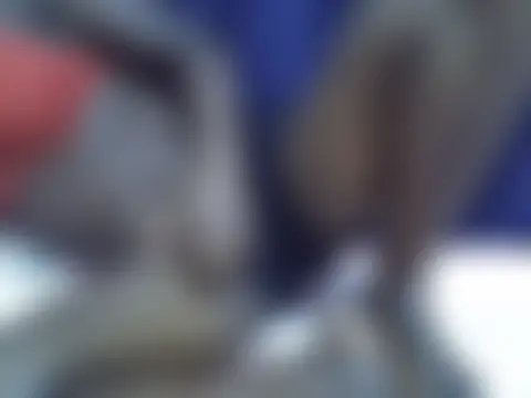Sexylynn32 실시간 채팅방