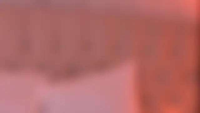 AshleyEvance 现场聊天室
