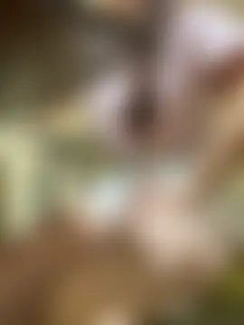 Pokój czatu na żywo – Aiko----