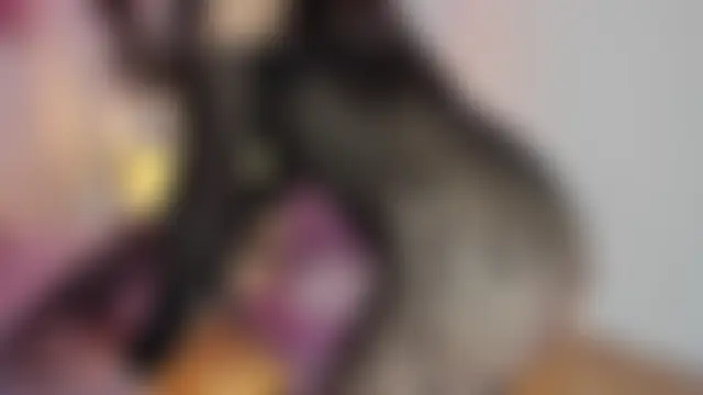 Katthee Live Chatraum