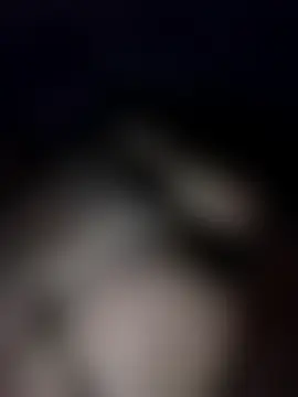 Pitercom élő chatszobája