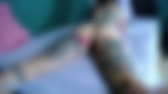 Živý XXX chat MeilynDarknes