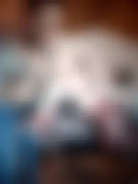 sebastian_horny লাইভ চ্যাট রুম