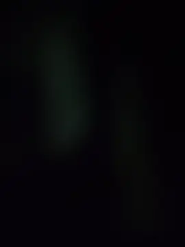 Sakti_77 在線直播表演