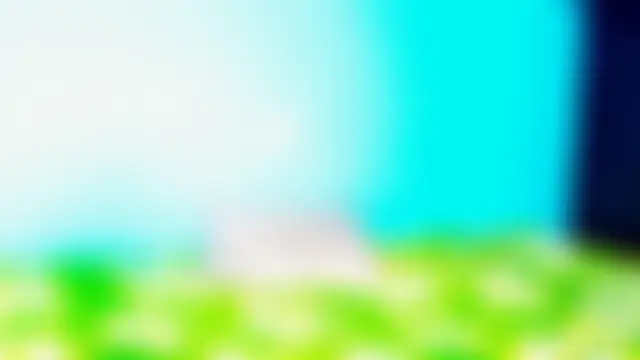 xxxsarahot250316's Live XXX Chat