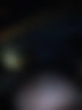 poussychatsのライブチャットルーム