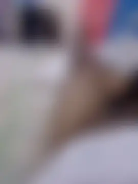 Tu_papi_69_ Webcam Show