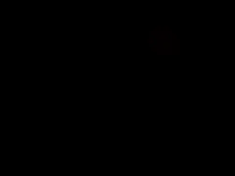 queen_beev's Live Chat Room