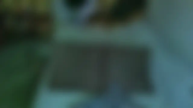 sex2's Webcam Show