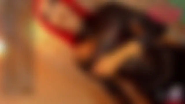 عرض كام anitacruise