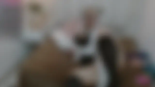 Echypyon_ 即時聊天室