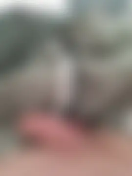 minnetird Webcam show