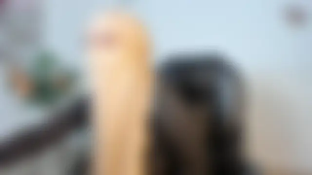 Sala de chat ao vivo de ailinn_sahara