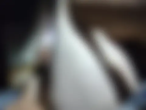 Hawkward69 Live Chatrum