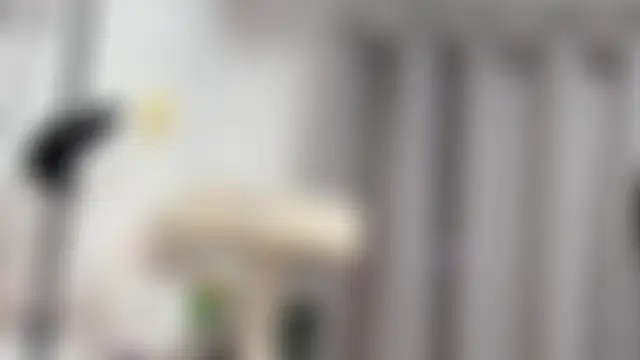 hi-AnAn 现场XXX聊天
