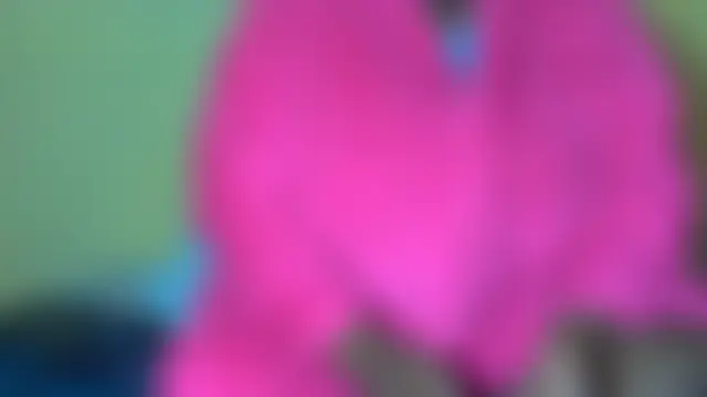 AnnabigpussyXO Live Chatraum