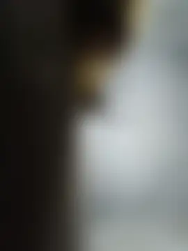 Živá chatovací místnost Sgs594802799