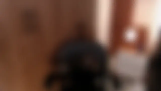 aleesha_cameron02 – Naživo chatovacia miestnosť