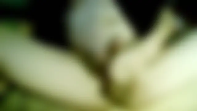 Sala de chat ao vivo de Kangc369