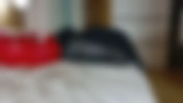 wild41 – webcam-show