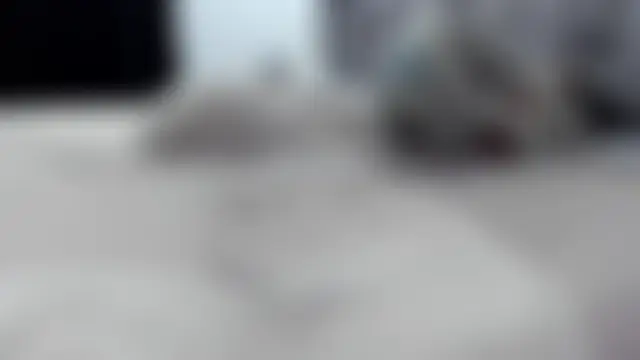MalconStonne Cameră chat live