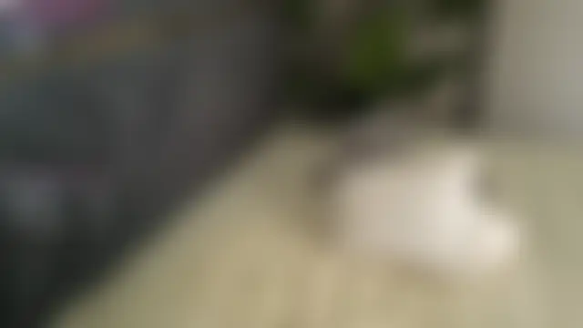 TrishaRey's Webcam Show