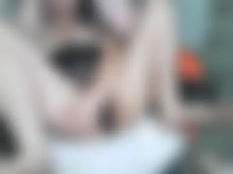 ur_obsession55のライブチャットルーム