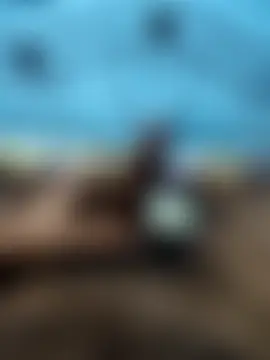 عرض كام Narutojeeva_tamil الجنسي المباشر
