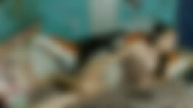 brighteyes77 现场聊天室