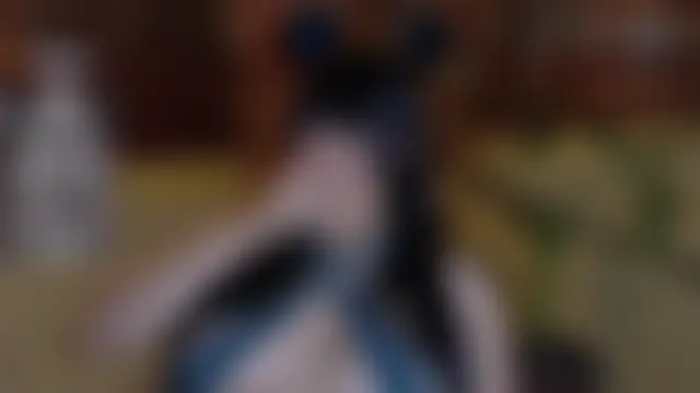 Živý XXX chat Eli666uwu