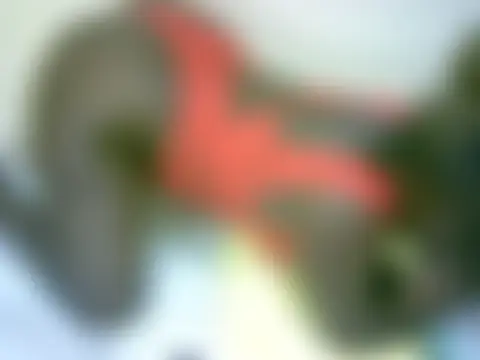 toxicangle: δωμάτιο απευθείας συνομιλίας