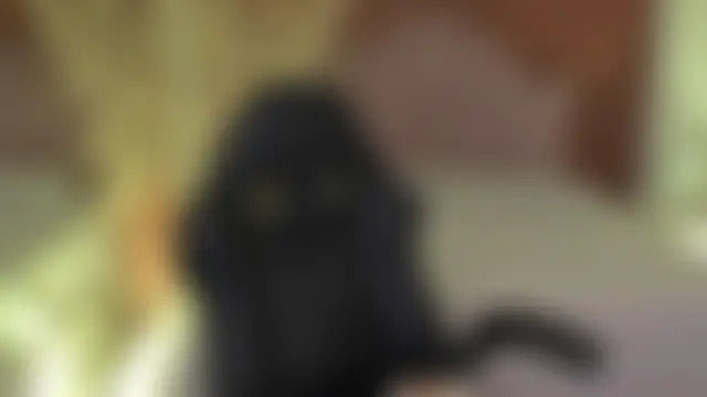 CarolineFyre 即時 XXX 聊天