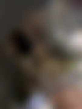 ama_dream Cameră chat live