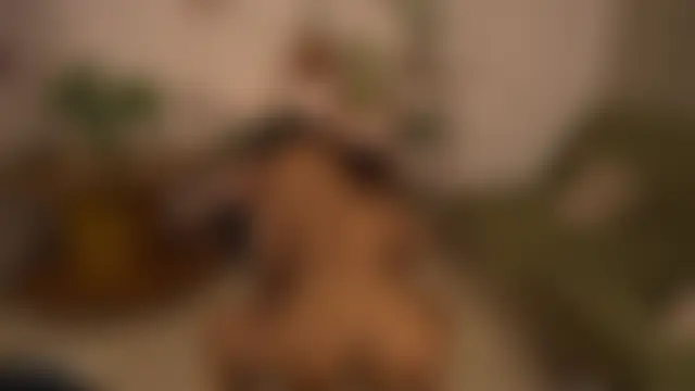 Karibeam's Live XXX Chat