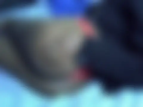 nolikhaya Webcam-Show