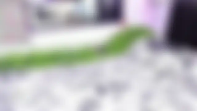 Stardarling_n Webbikameraesitys