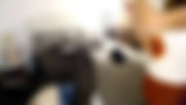 Show webcam de NinaDOM4CUM