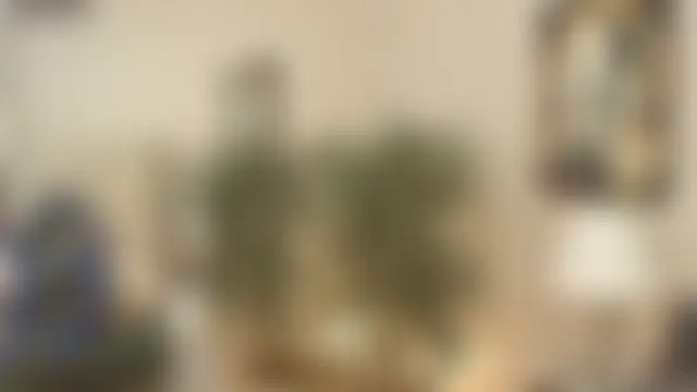 הופעת וובקאם של kai_storn