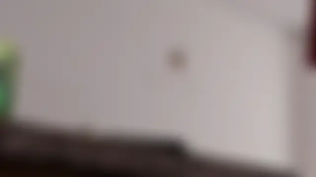 Chat XXX en directo de Laurenn_Sweet