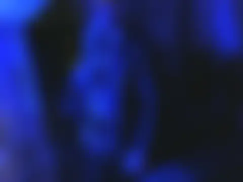 rodrigotof2000: вебкам-шоу