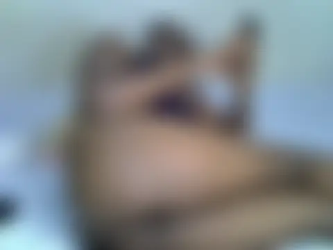 Chat XXX en directo de pretty_siren