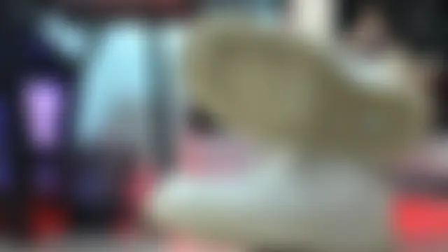 MissAlmaFenix 现场聊天室