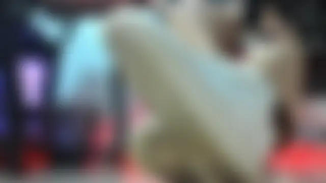 Živá chatovací místnost MissAlmaFenix